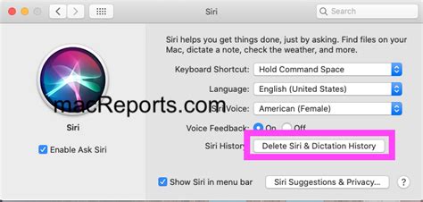 How To Clear Your Siri History MacReports