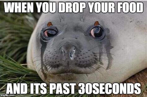 19 Very Funny Seal Meme That You Never Seen Before Memesboy