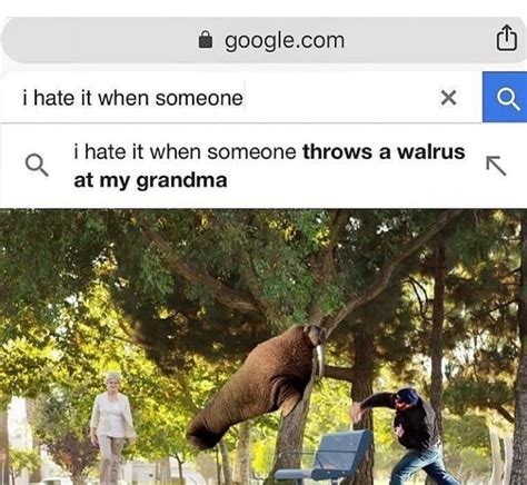 I Hate It When Someone Throws A Walrus At My Grandma Gets On My Freaking Nerves Ya Know Meme