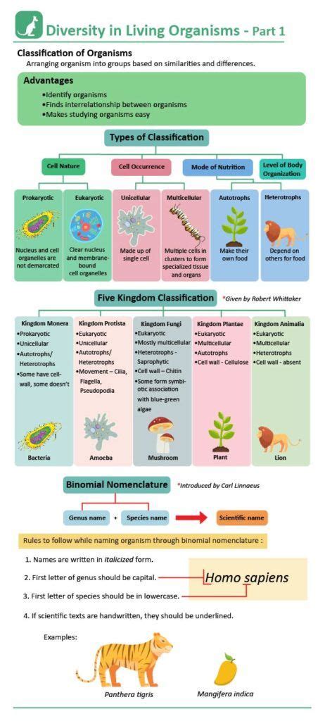 Five Kingdom Classification Kingdoms Features Examples Biology