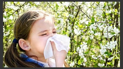Pin En Asma Y Alergias Asthma And Allergies