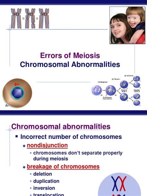 5 Ch15 Chromosomal Abnormalitiesppt Meiosis Chromosome
