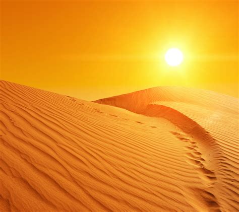 73 Desert Background