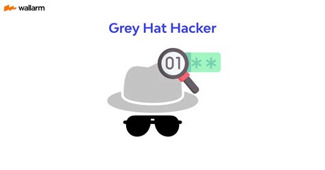 What Is A Grey Hat Hacker Definition Examples