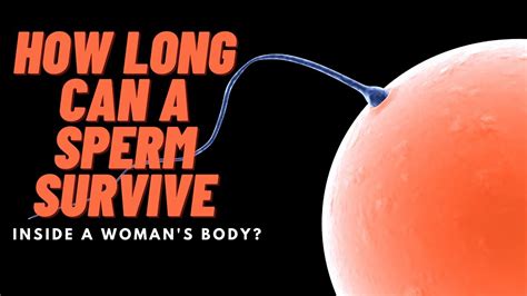 How Long Can Sperms Survive Inside A Woman S Body Find Out Youtube