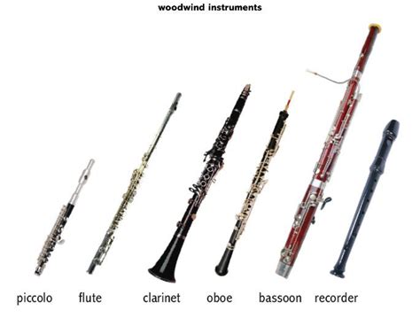 Woodwind Instruments Are So Named Because They All Wind Instruments