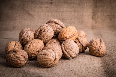 Walnuts Free Stock Photo Public Domain Pictures