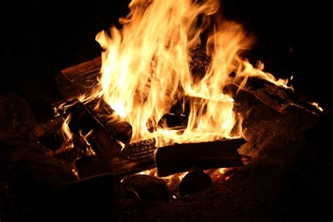 Campfire At Night Free Stock Photo Public Domain Pictures