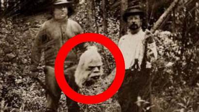 Bigfoot Sightings Caught Camera Evidence Unexplained Sighting
