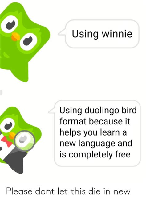 My real name is duo you goddamn assholes! Using Winnie Using Duolingo Bird Format Because It Helps You Learn a New Language and Is ...
