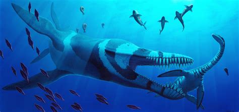 Vestige Of Massive Jurassic ‘ocean Monster Found In A Polish Cornfield Empire Gazette Usa