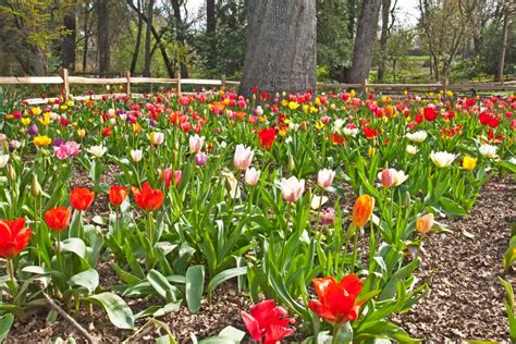 Understand what is meant by a plant hardiness zone. Sacramento USDA Plant Zone - What You Need to Know