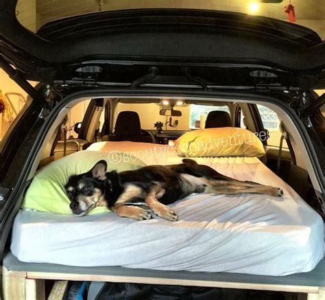 There are a number of reasons you might want to sleep in your car. DIY SUV drawer, car camping, storage SUV camping, Car bed, RAV4, Toyota | Suv camping, Camping ...