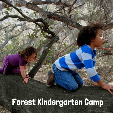 Forest Kindergarten Summer Camp Earthroots Field School