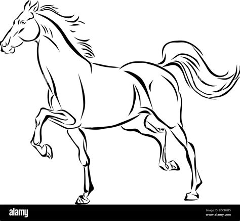 Vector Of A Galloping Horse Stock Vector Image And Art Alamy