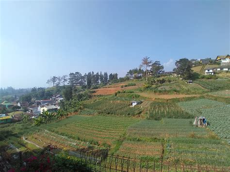 xxx (@triaunderwear) / Twitter