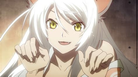 Why You Should Watch The Monogatari Anime Series