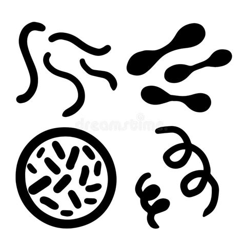 Microorganisms In Coccus Spirilla Vibrio Shapes Stock Illustration