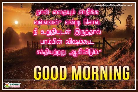 Here is the pretty cool and simple good morning images, quotes to share with your friends and relatives listed under the category 'tamil'. Tamil Good Morning Kavithaigal Greetings with ...