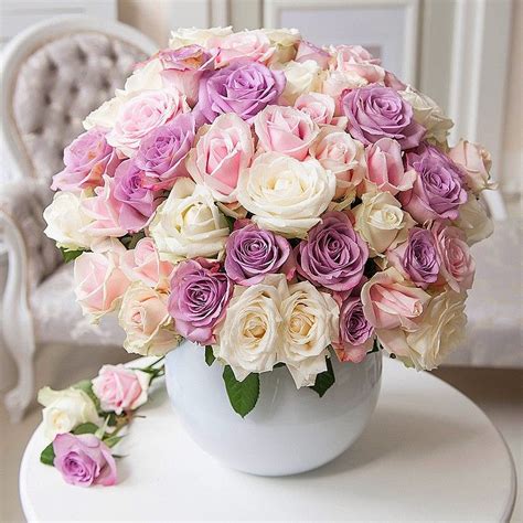 50 Rose Bouquet Anniversary Flowers Flowers By Occasion Occasions