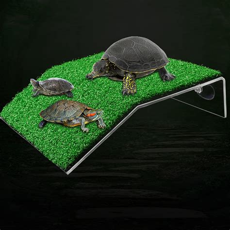 Great Quality For Small Reptile Frog Terrapin Simulation Grass Turtle