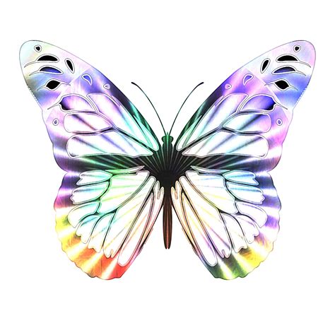 Iridescent Op Art Butterfly Free Stock Photo Public Domain Pictures