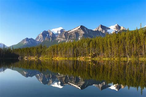 Canada Mountains Sunrise Forest Lake Landscape Reflection Stock Photo