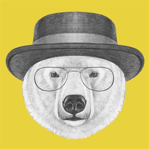 Portrait Of Polar Bear With Hat Hand Drawn Illustration Stock