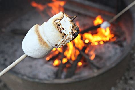 National Toasted Marshmallow Day Just Brennon Blog