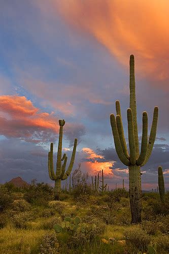 Flickriver Most Interesting Photos Tagged With Arizona