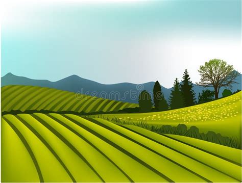 Green Mountain Landscape Stock Vector Illustration Of Countryside