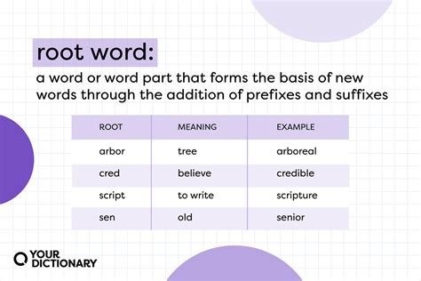 Examples Of Root Words Common Roots With Meanings Yourdictionary
