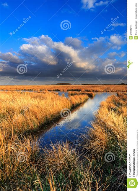 Meadow Landscape With Beautiful Cloudscape Stock Image Image Of