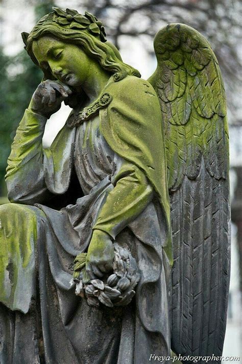 Winged Angel Downcast And Pensive Encrusted With Lichen Angel