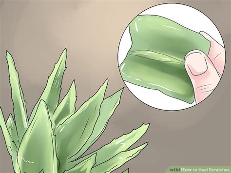 Here are a few things you should know about popping boils and. 3 Ways to Heal Scratches - wikiHow