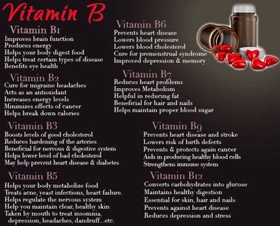 What are the side effects of too much vitamin b? What are the Benefits of Vitamin B!?! Find out here and ...