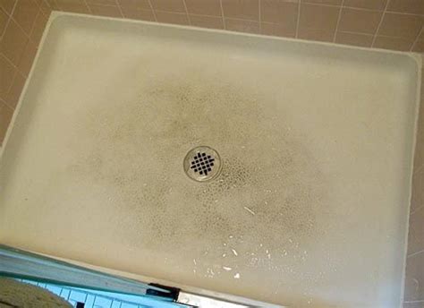 How To Clean Your Fiberglass Shower Floor And Pan Homeviable