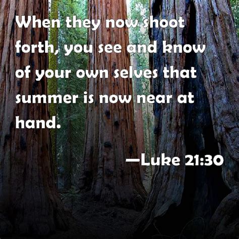 Luke 2130 When They Now Shoot Forth You See And Know Of Your Own