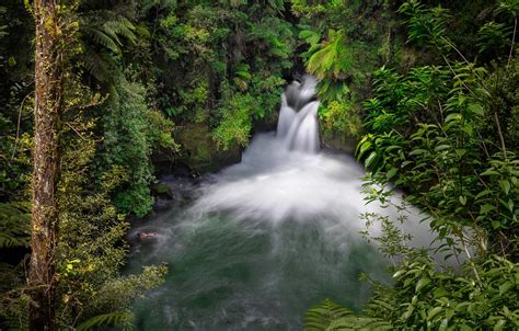 Wallpaper Forest River Waterfall New Zealand New Zealand Okere