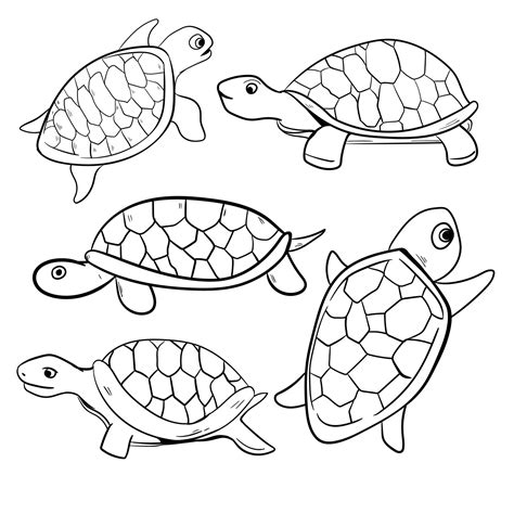 Turtle Doodle Vector Art Vector Art At Vecteezy
