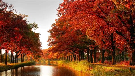 1366 X 768 Fall Wallpapers Top Free 1366 X 768 Fall Backgrounds