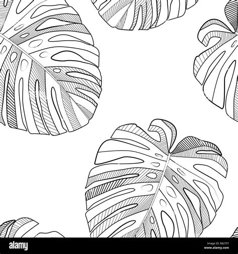 Tropical Leaves Palms Monstera Leaf Floral Seamless Pattern