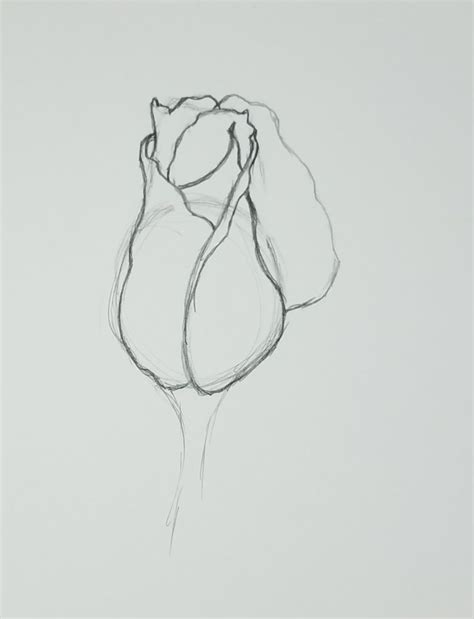 How To Draw A Rose Bud And Drawing Ideas Art By Ro
