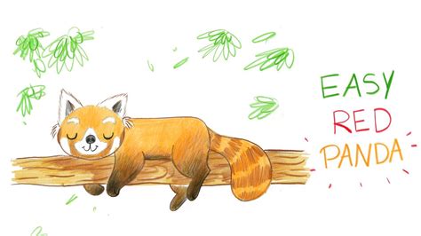 Maybe you would like to learn more about one of these? HOW TO DRAW A CUTE RED PANDA (EASY WAY) / COMMENT DESSINER ...