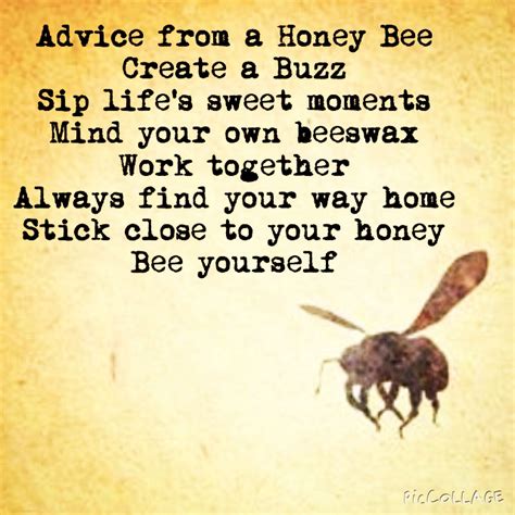 Pin By Miriam Riojas On Bees Bee Quotes Bee Keeping Bee