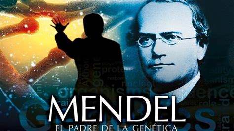 Gregor Mendel El Padre De La Genética Botánico Biólogo Y Agustino