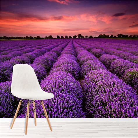 Purple Lavender Field At Sunset Floral Wall Mural