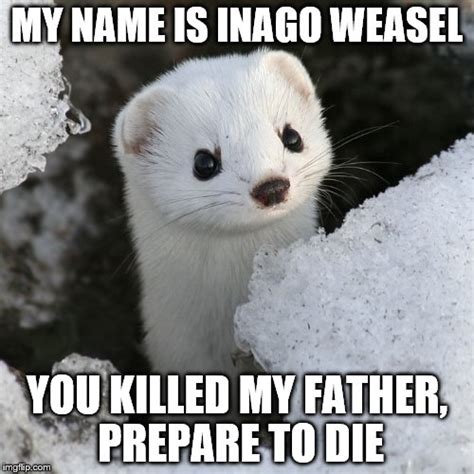 Grump Weasel Memes Imgflip