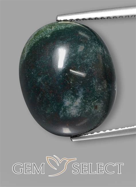 Bloodstone Is The Birthstone For March Gemselect Features This Natural