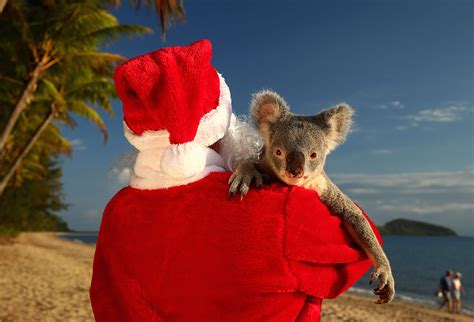 Merry Xmas Happy Times Ahead Festive Summertime Australia The